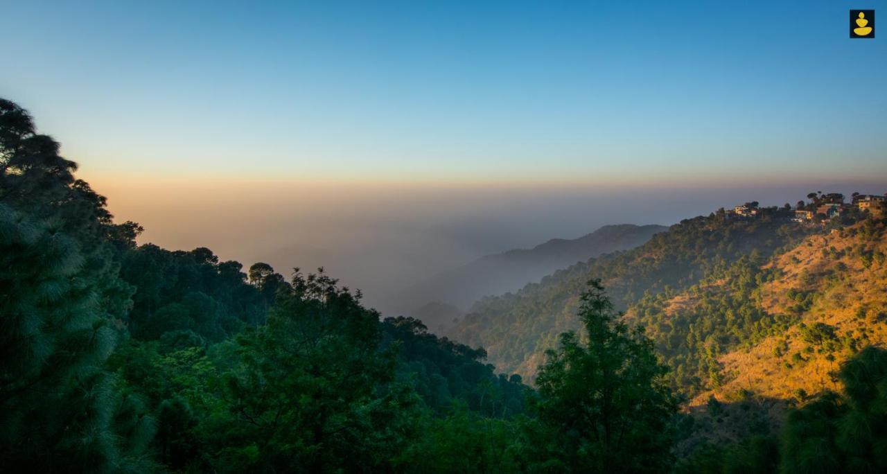 Livingstone 2Bhk Cozy Homestay In Kasauli Hills Exterior foto